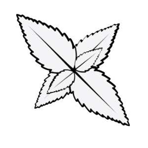 menthol-icon